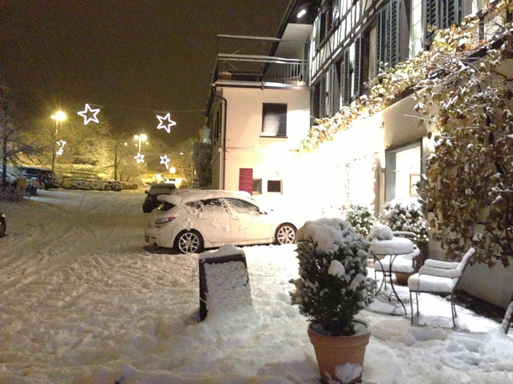 Hotel Rebe Herrliberg エクステリア 写真