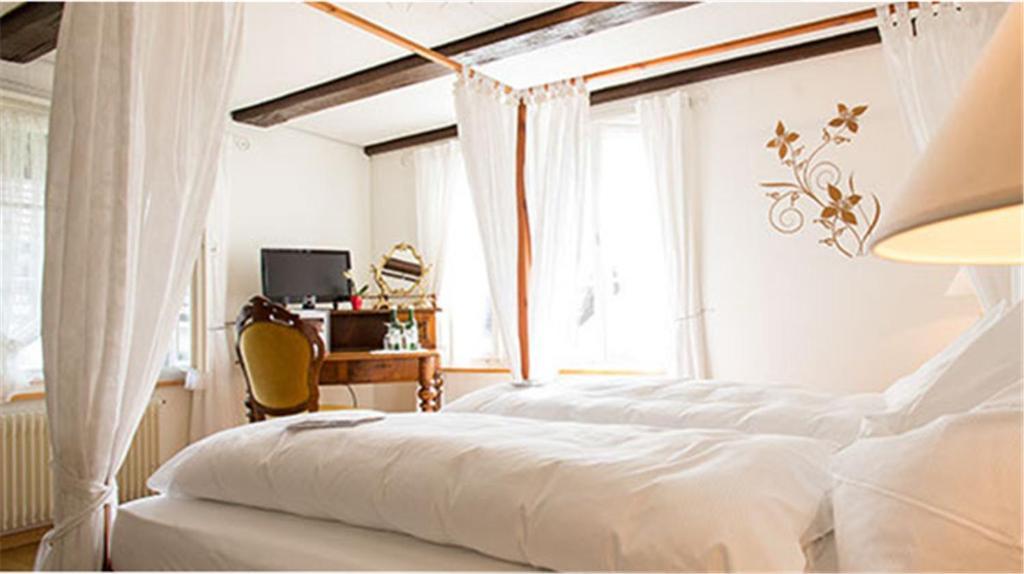 Hotel Rebe Herrliberg 部屋 写真